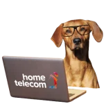 Home Telecom, Utility specialist, Services Broadband