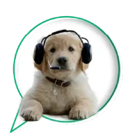 Support Plus banner image Support Plus banner image